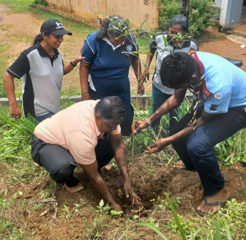 A tree planting program on both sides of the Homagama-Katuwana bypass road (2023-09-23)