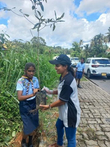 A tree planting program on both sides of the Homagama-Katuwana bypass road (2023-09-23)