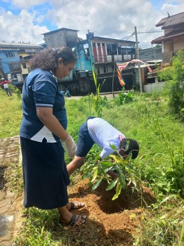 A tree planting program on both sides of the Homagama-Katuwana bypass road (2023-09-23)