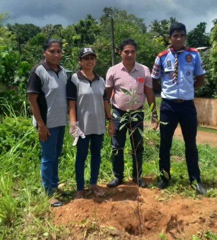 A tree planting program on both sides of the Homagama-Katuwana bypass road (2023-09-23)