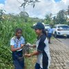 A tree planting program on both sides of the Homagama-Katuwana bypass road (2023-09-23)