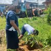 A tree planting program on both sides of the Homagama-Katuwana bypass road (2023-09-23)