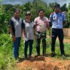 A tree planting program on both sides of the Homagama-Katuwana bypass road (2023-09-23)