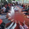A training program in Yoga Panagoda (2024-08-09)