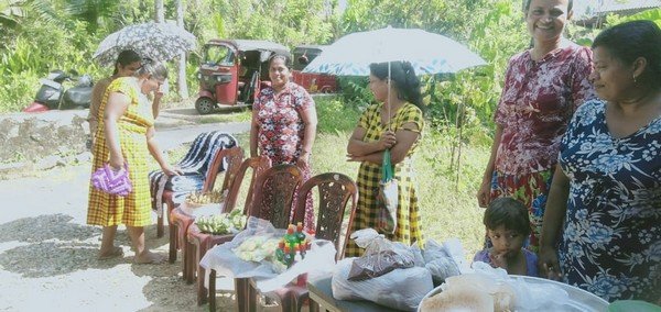 Many market programs from the union of women in many divisions