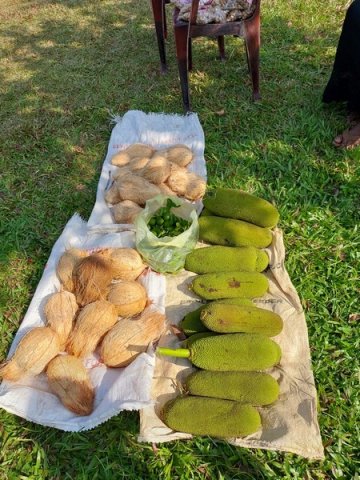 Many market programs from the union of women in many divisions