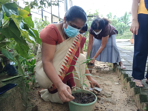 " සිංහ අරණ " වැඩිහිටි  නිවාසයට ඔසු  උයනක්  / හෝමාගම 