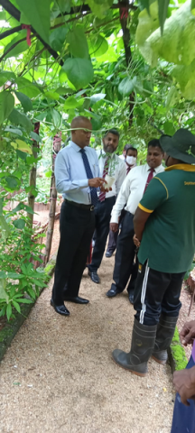 Observation of Homagama Divisional Secretariat