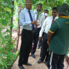 Observation of Homagama Divisional Secretariat