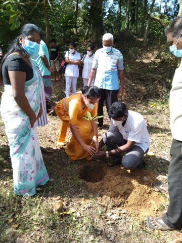ඔසු උයන - මාගම්මන