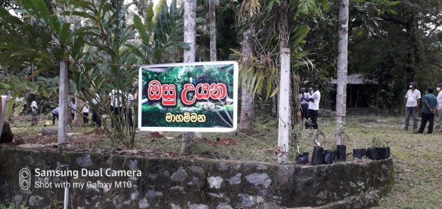 ඔසු උයන - මාගම්මන